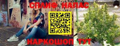 гидропоника Бузулук